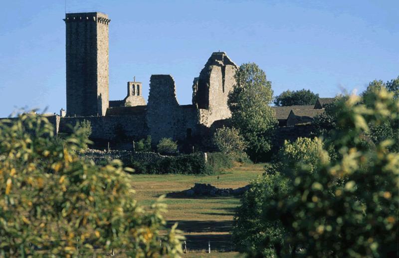 Gites en Cevennes Chez Steloune Genolhac Extérieur photo