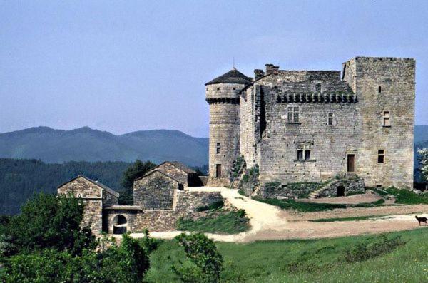 Gites en Cevennes Chez Steloune Genolhac Extérieur photo